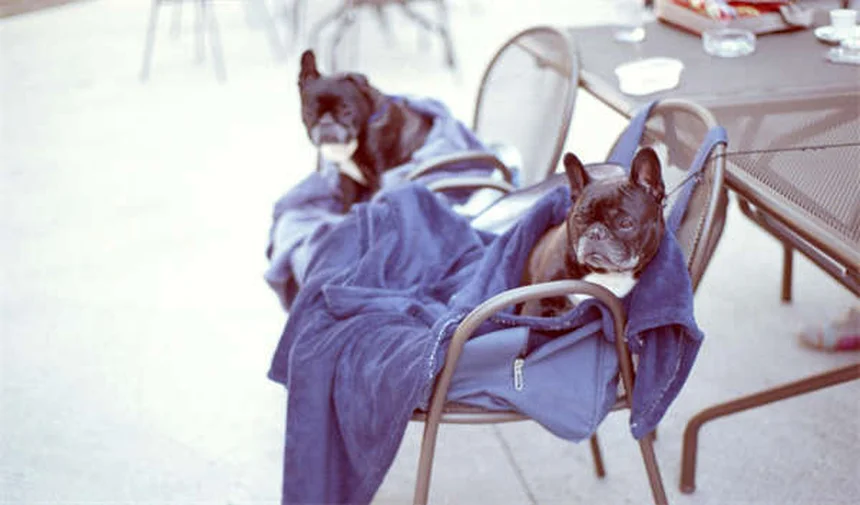 2026 Toyota Corolla Cross Hybrid: What's New & Is It Worth It?